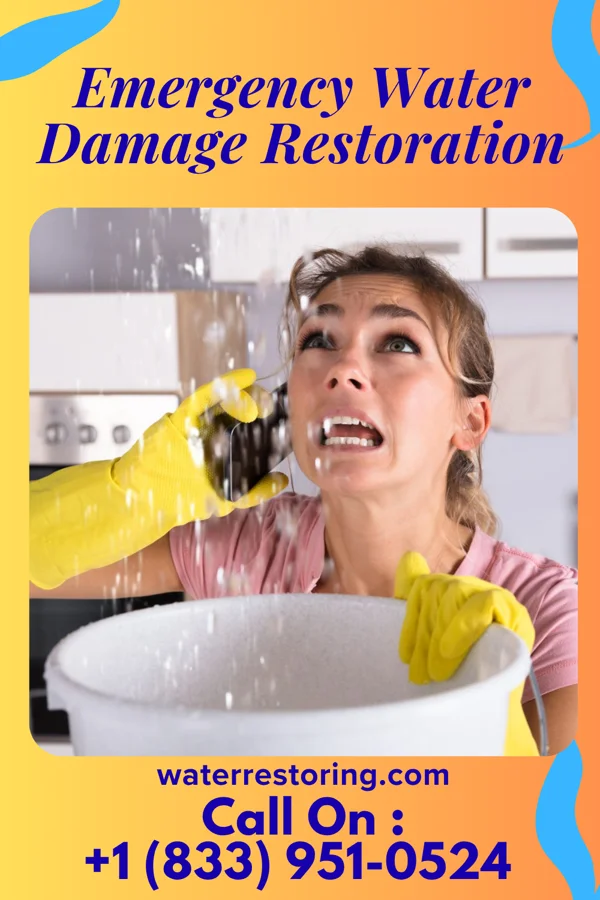 Emergency Water Damage Restoration in Meadowlands, PA