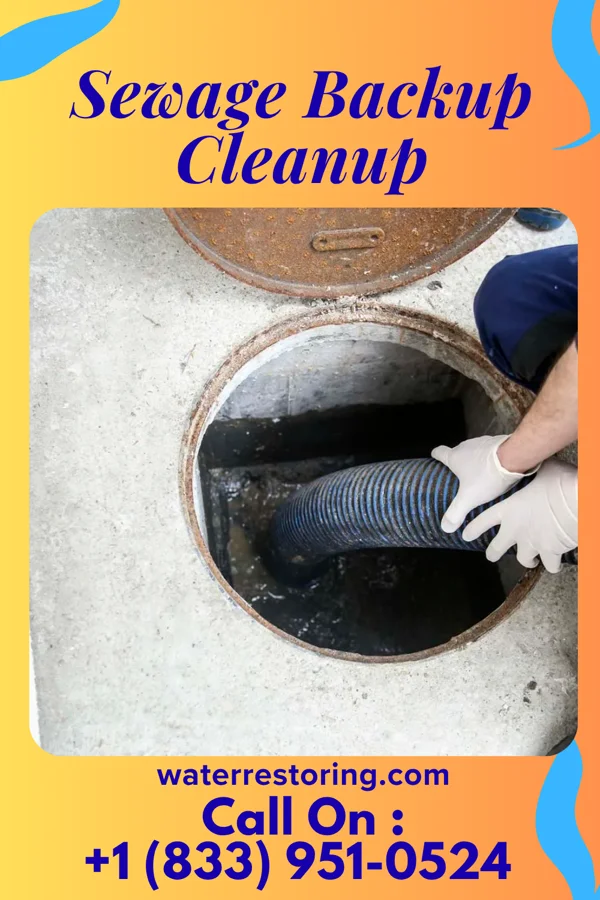 Sewage Backup Cleanup in Meadowlands, PA