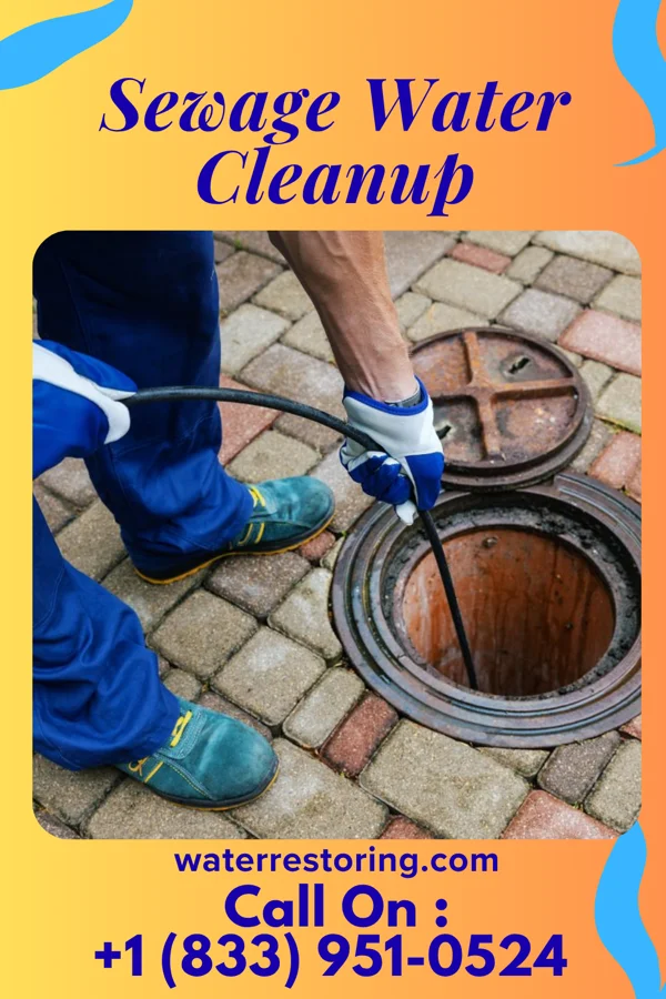 Sewage Water Cleanup in Meadowlands, PA